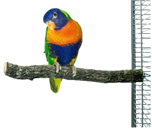 Back Zoo Nature Corky Perch Medium