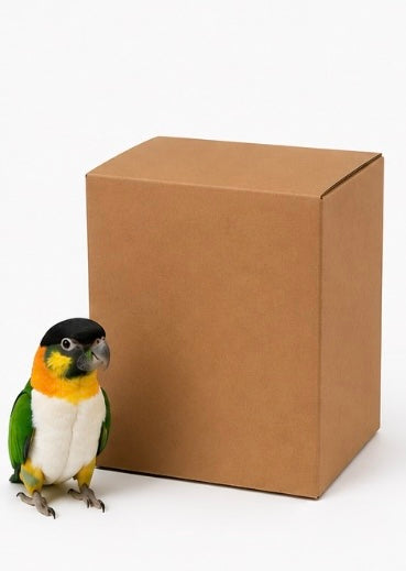 FensieVogels Mystery Box – 3 Verrassende Speeltjes