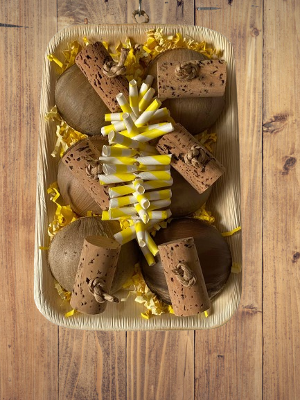 Feest Bord – Natuurlijk Sloopspeeltje