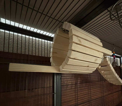 De parkieten speel tunnel special