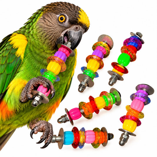 Acryl & RVS Voetspeeltje – Mini Regenboog