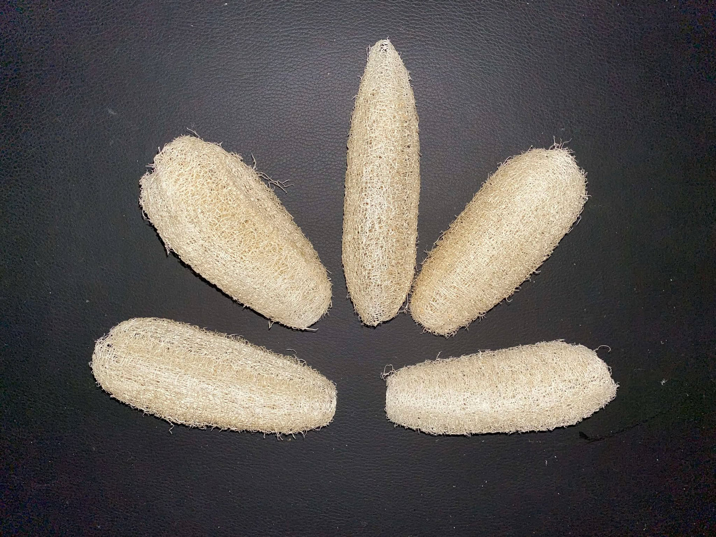 Loofah