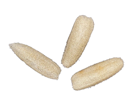 Loofah – Natuurlijk Speel- en Foerageermateriaal voor Vogels