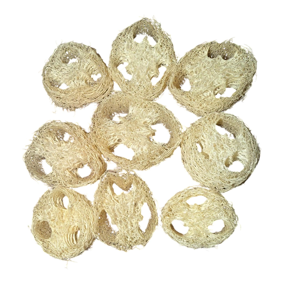 Loofah Slices |  1stuk |