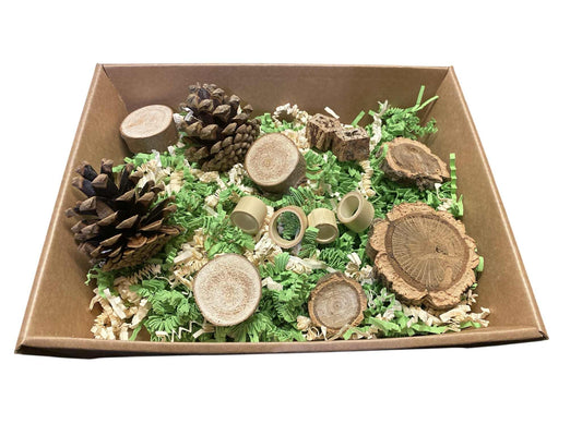 foerageerbox Bosrijk Avontuur – speelplezier recht uit de natuur!