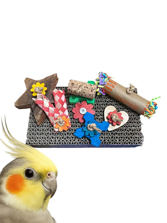 Karton Kriebel – kleurrijk foerageerspeeltje