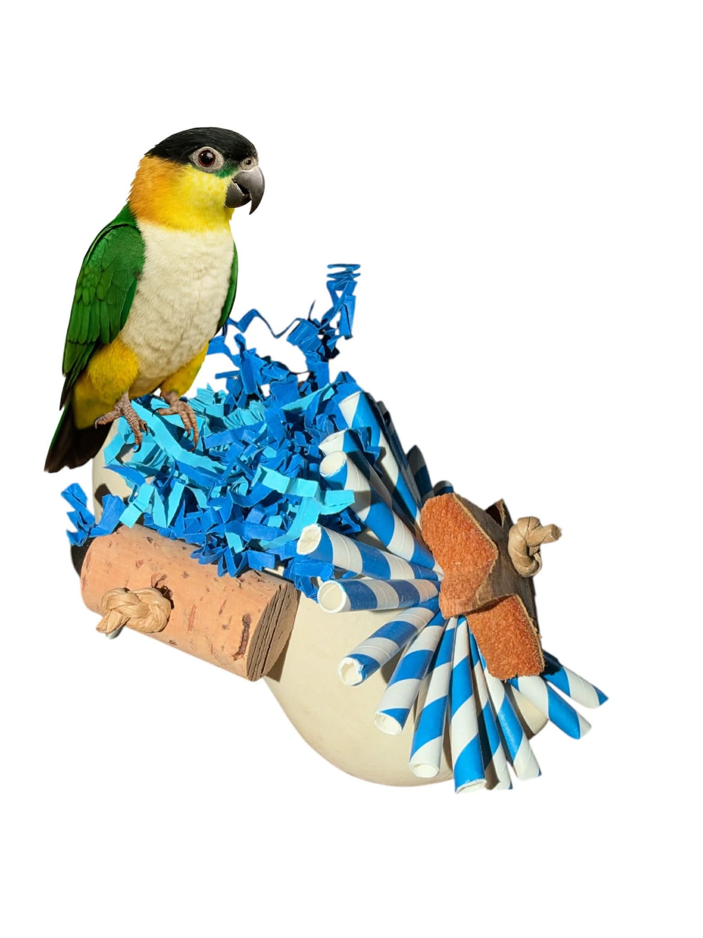 Foerage Klomp – Natuurlijke Foerageeruitdaging voor Vogels