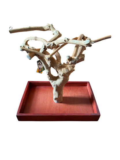 Back Zoo Nature Java Tree Playstand + Plateau Premium Small
