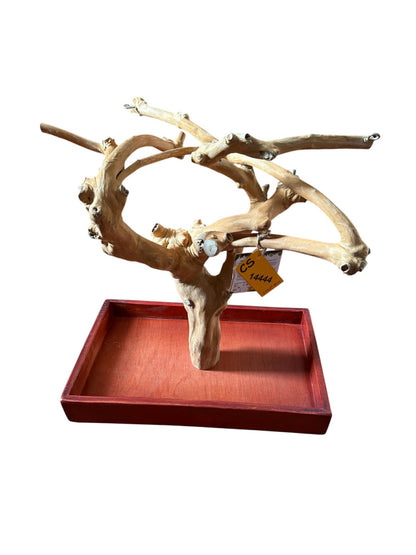 Back Zoo Nature Java Tree Playstand + Plateau Premium Small