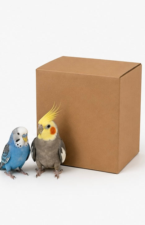 FensieVogels Mystery Box – 3 Verrassende Speeltjes