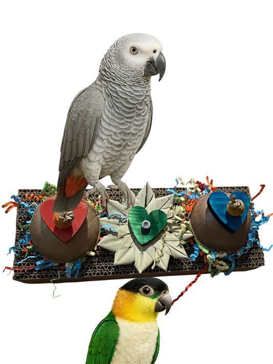 Foerageerfeest op Karton – kleurrijke ontdekkingstocht voor je vogelvriend