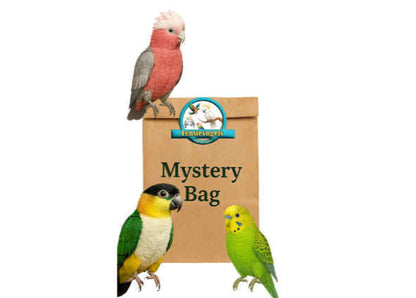 FensieVogels Mystery Bag – Durf jouw vogel vriendje het zakje zelf te openen?