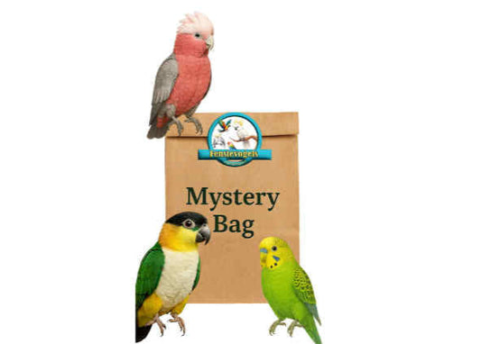FensieVogels Mystery Bag – Durf jouw vogel vriendje het zakje zelf te openen?