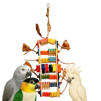 Zoo-Max – Groovy Teacher