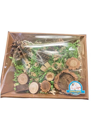 foerageerbox Bosrijk Avontuur – speelplezier recht uit de natuur!
