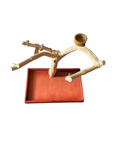 Back Zoo Nature Java Tree Playstand + Plateau Premium Medium