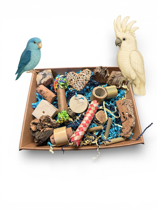 Foerageer Box – natuurlijk & uitdagend