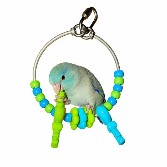FensieVogels Power Ring parkieten – RVS & Acryl Groen/blauw