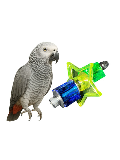 StarTwist RVS Voetspeeltje – Acryl Ster