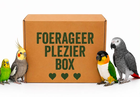 Foerageer Plezier box – 3