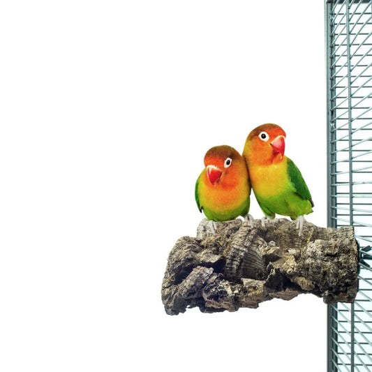 Kurk Speelgoed voor Vogels