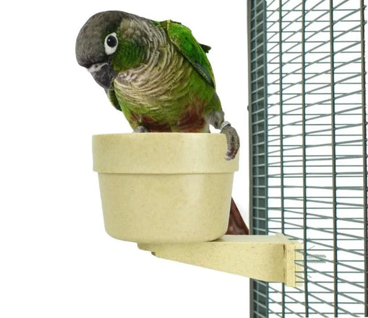 Duurzame en Veilige Voerbak voor Vogel