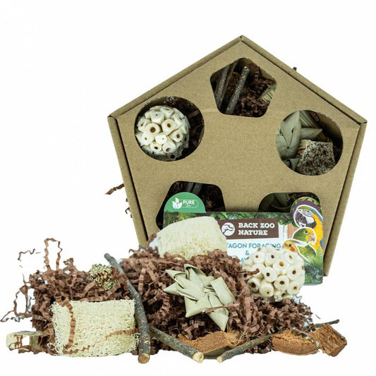 parkieten Back Zoo Nature – Pentagon Foraging & Play Box