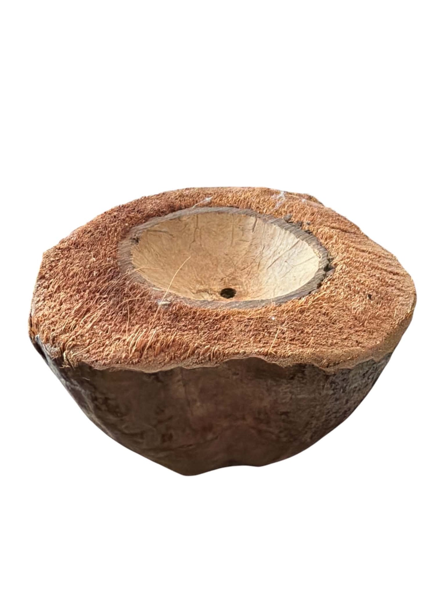 Kokosbakje – DIY Vogelspeelgoed Onderdeel