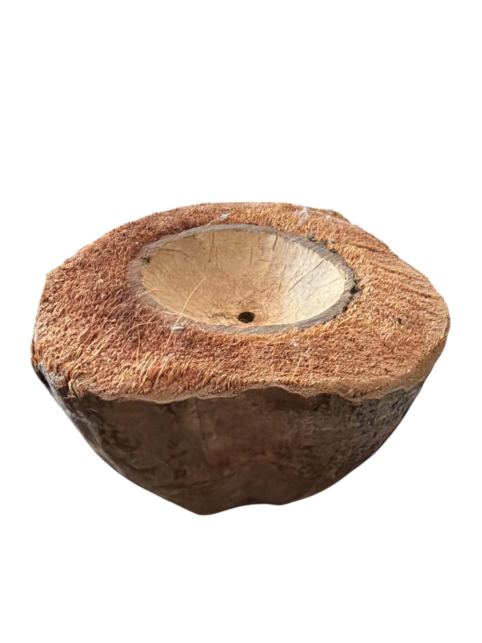 Kokosbakje – DIY Vogelspeelgoed Onderdeel