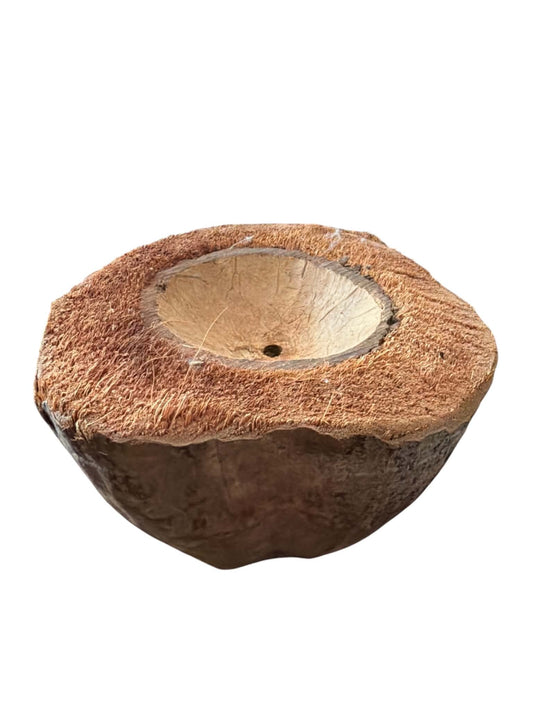 Kokosbakje – DIY Vogelspeelgoed Onderdeel