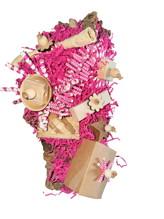 Kurkplaat Foerageer Speelset – Limited Edition | FensieVogels