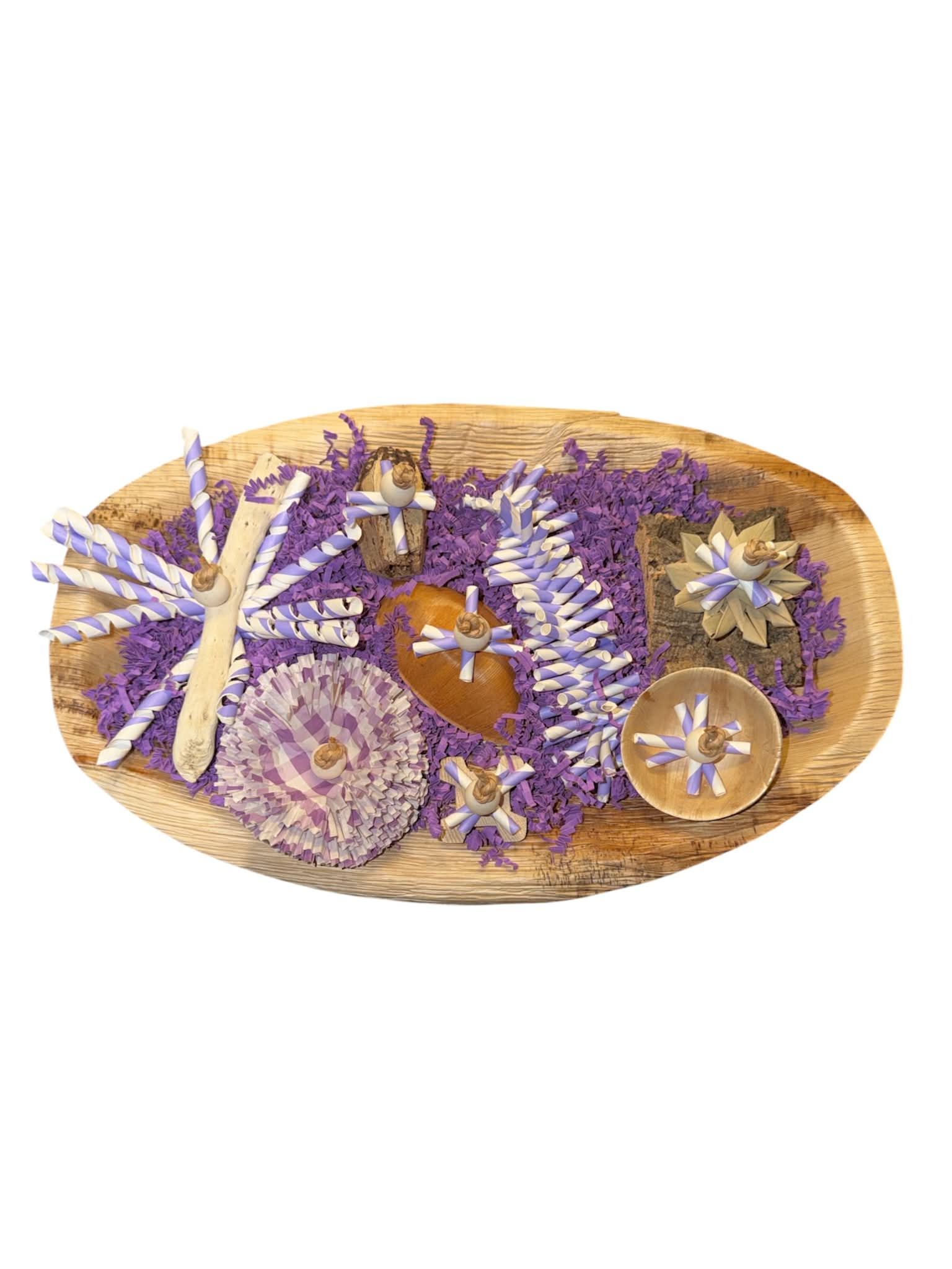 Paars Sloopplateau speelgoed papegaaien en parkieten