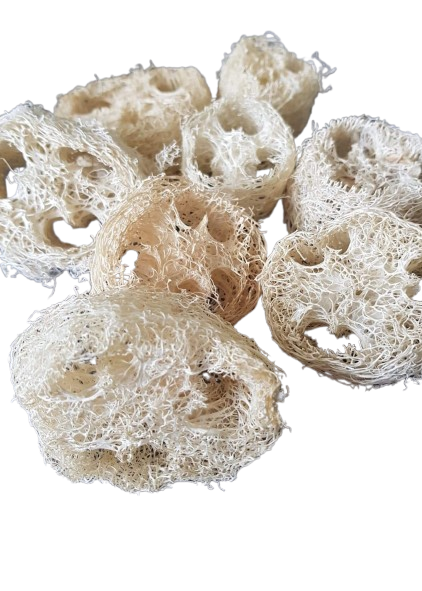 Loofah Slices 1 cm | DIY Vogelspeelgoed | FensieVogels
