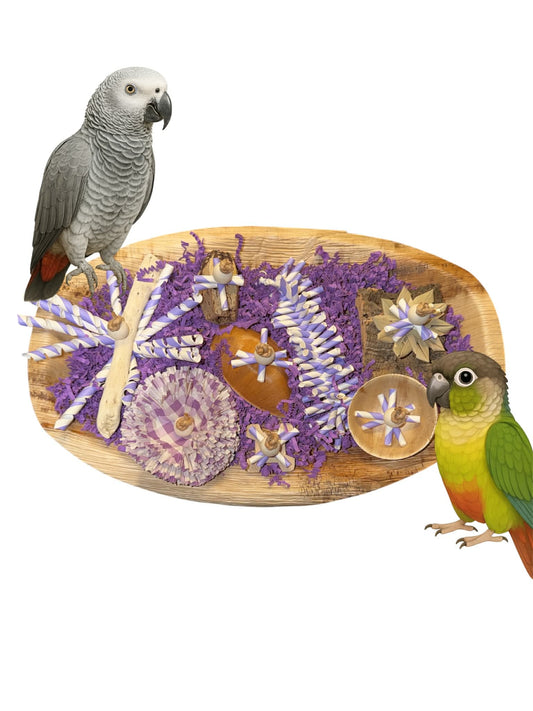 papegaaien en parkieten Paars Sloopplateau