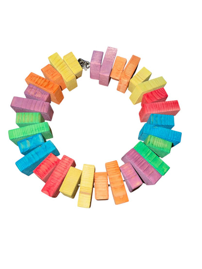 Rainbow Ring – 70 cm RVS Ring met 30 Houten Blokken voor papegaaien