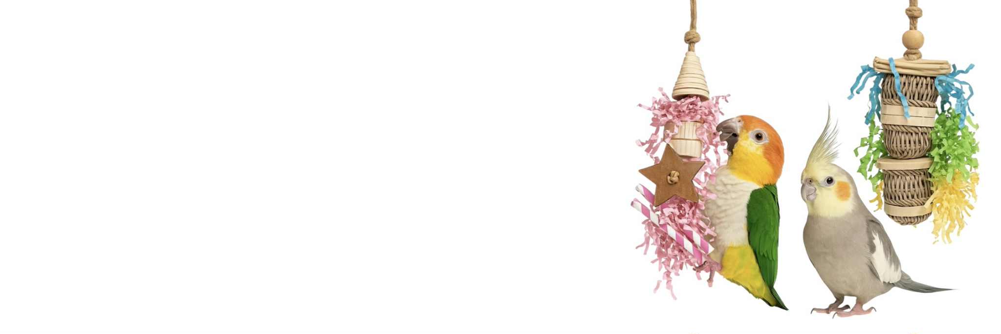 Vrolijk, kleurrijk en verantwoord parkieten en papegaaien speelgoed – speciaal ontworpen om jouw vogel te laten klimmen, knagen en ontdekken.