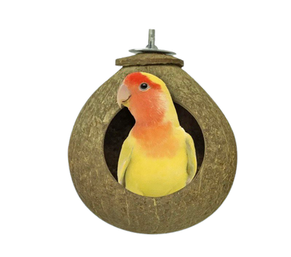 Natuurlijk Vogelhuisje