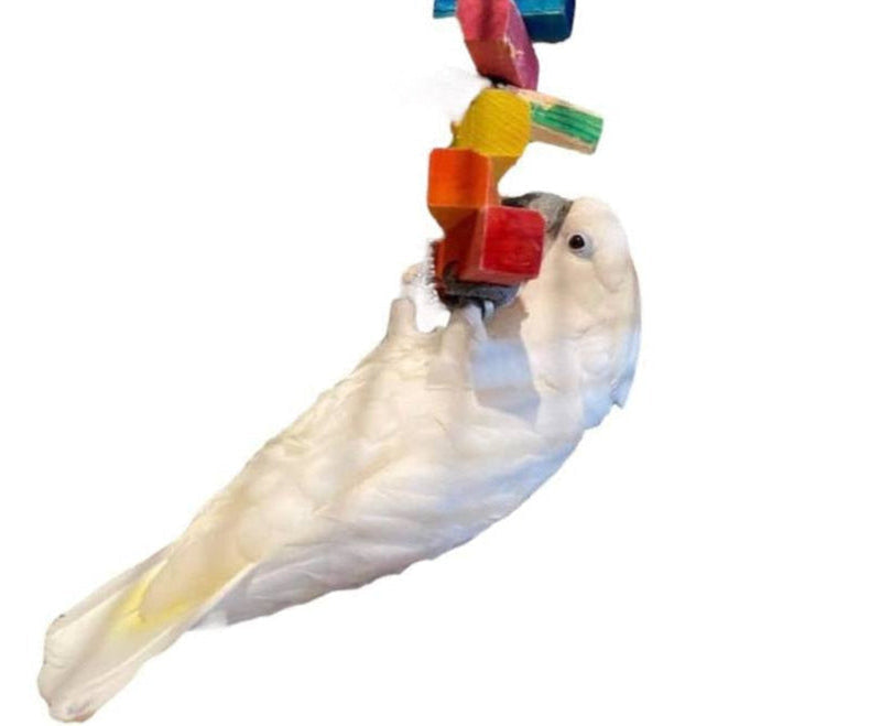 Voor parkieten en papegaaien die meer verdienen dan standaard.