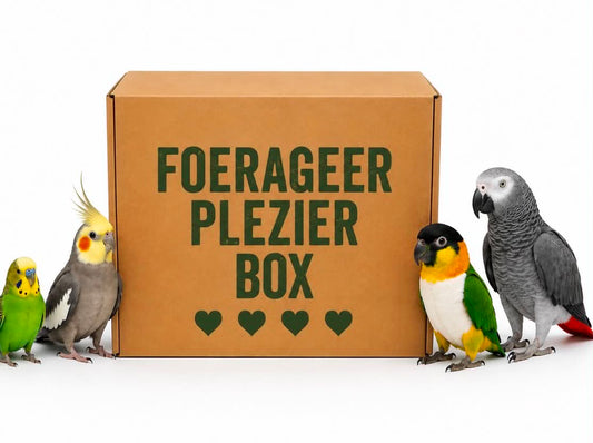 Foerageer Plezier box - 4