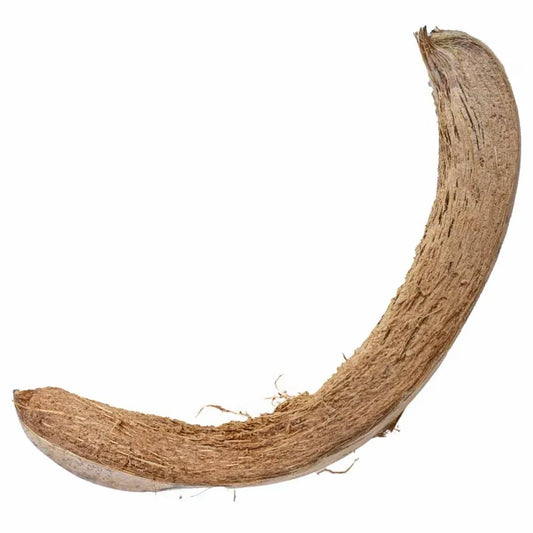 Back Zoo Nature Coconut Husk Slices – Stevig Natuurspeelgoed voor Kromsnavels
