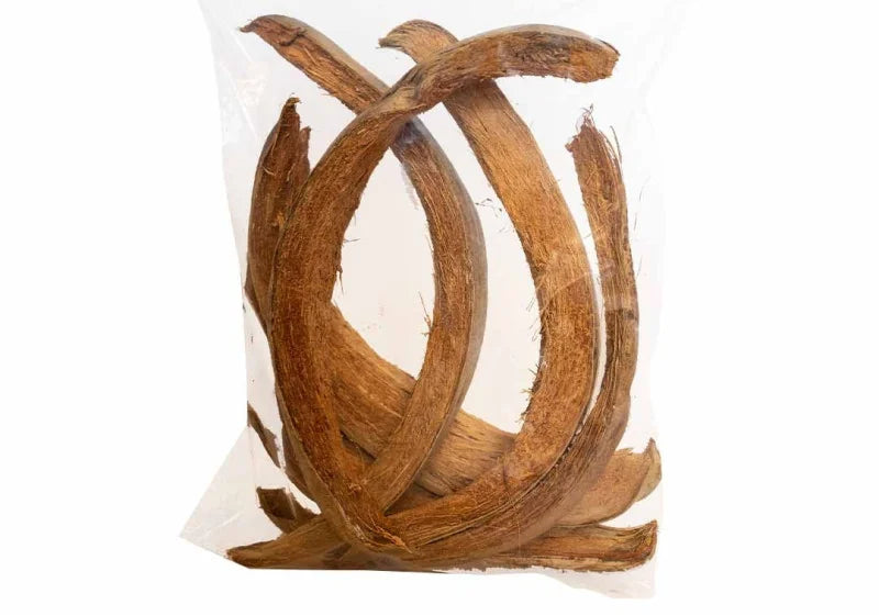 Back Zoo Nature Coconut Husk Slices | 6 stuk |  Stevig Natuurspeelgoed voor Kromsnavels