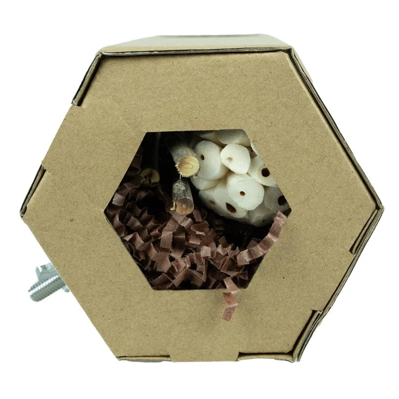 Back Zoo Nature – Hexagon Foraging & Play Tunnel