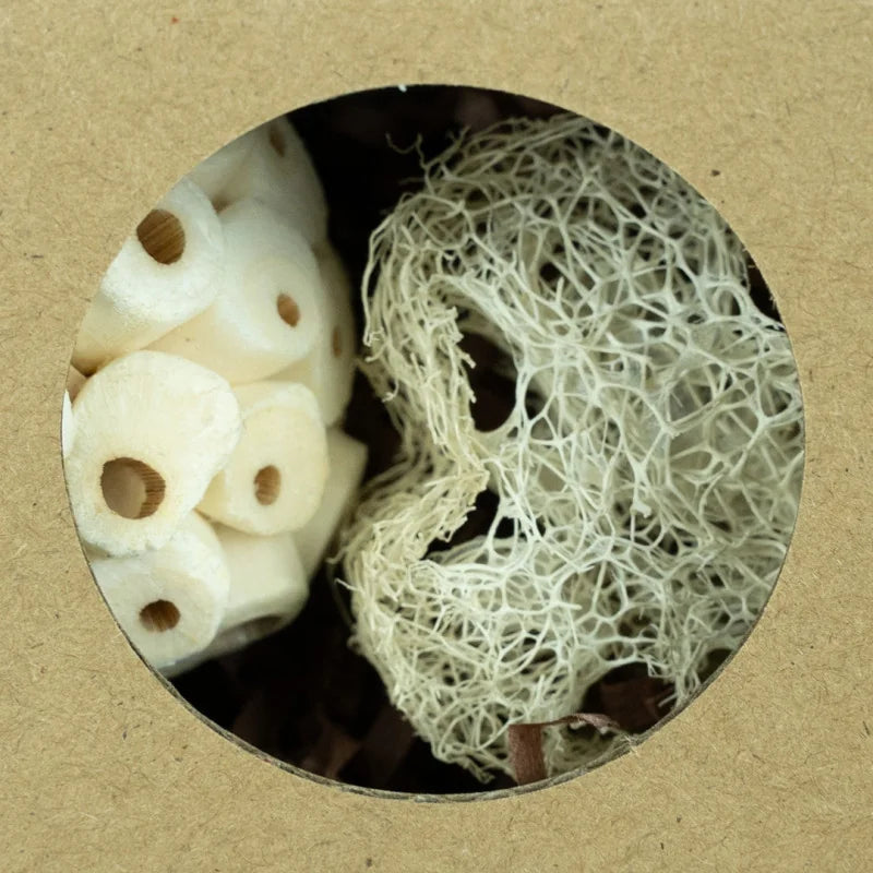 Back Zoo Nature – Hexagon Foraging & Play Tunnel