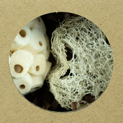 Back Zoo Nature – Hexagon Foraging & Play Tunnel