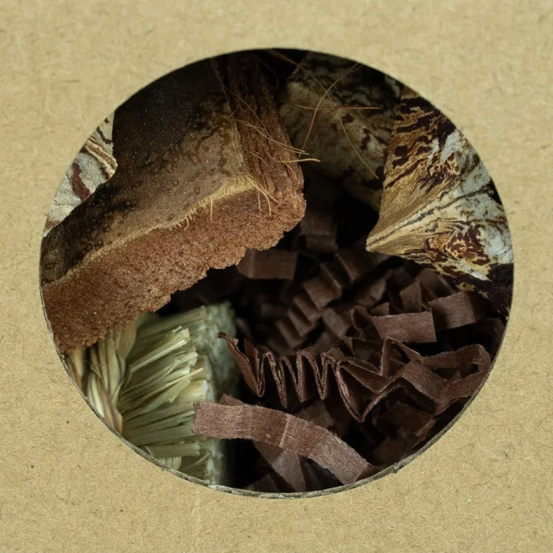 Back Zoo Nature – Hexagon Foraging & Play Tunnel