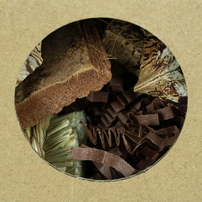Back Zoo Nature – Hexagon Foraging & Play Tunnel