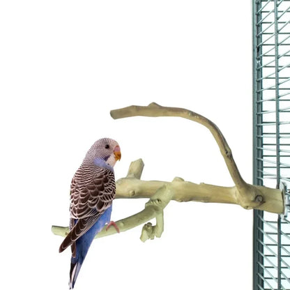 Back Zoo Nature Multi Perch Premium Extra Small