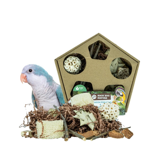 parkieten speeelgoed foerageren Back Zoo Nature – Pentagon Foraging & Play Box