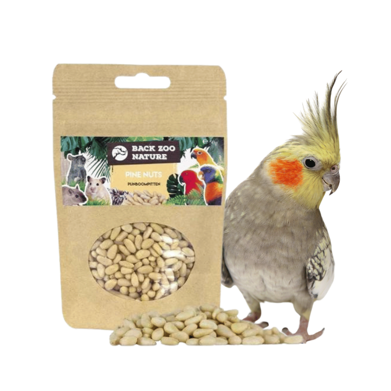 Back Zoo Nature Pine Nuts 