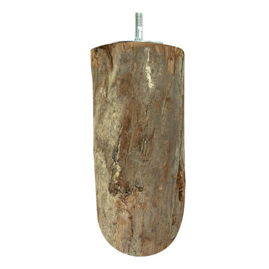 papegaaien Back Zoo Nature Wood Slice Perch Large